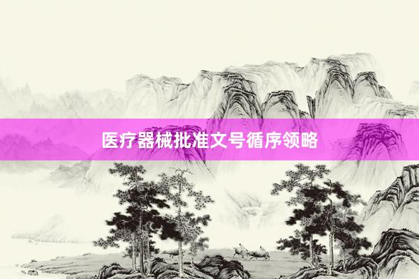 医疗器械批准文号循序领略